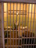 gal/Holidays_and_Trips/Alcatraz_2010/_thb_P1130949.JPG