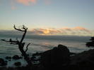 gal/Holidays_and_Trips/California_2010/_thb_P1130763.JPG