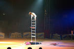 gal/Holidays_and_Trips/Moscow_State_Circus_2011/_thb_IMG_6492.jpg