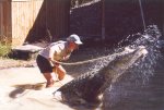 gal/Holidays_and_Trips/Oz_2002/Daintree_Rainforest,_Mossman_Gorge_and_Crocs/_thb_oz6-16a.jpg