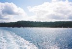 gal/Holidays_and_Trips/Oz_2002/Fraser_Island/_thb_oz4-36.jpg