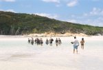 gal/Holidays_and_Trips/Oz_2002/Whitsunday_Islands_(part_1)/_thb_oz5-13.jpg