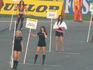 gal/Racing/2006/BTCC_Silverstone/_thb_P1030591.JPG